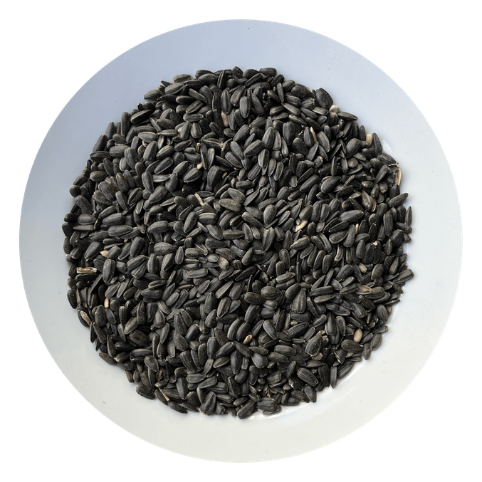 Črna sončnična semena za ptice Avicentra (500 g) - slika 2
