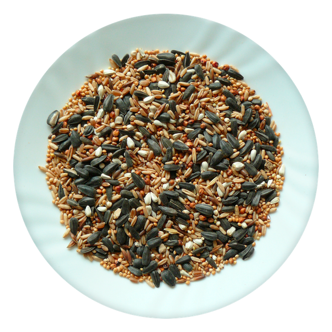 Hrana za divje ptice Garden Menu Avicentra (500 g) - slika 2