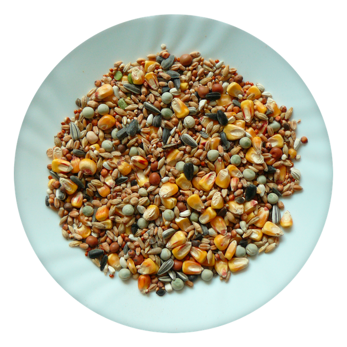 Hrana za golobe Standard Avicentra (25 kg)