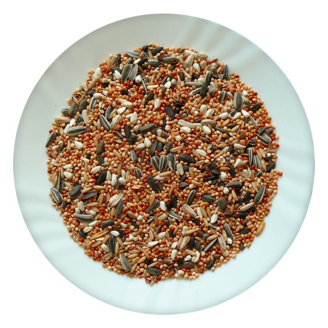 Hrana za nimfe in srednje papige Classic Avicentra (1 kg) - slika 2