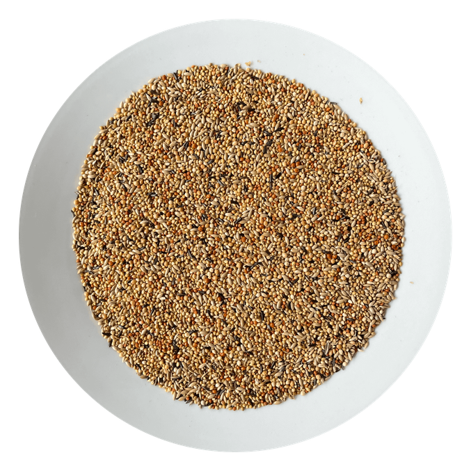 Hrana za ščinkavce Premium Avicentra (20 kg) - slika 2