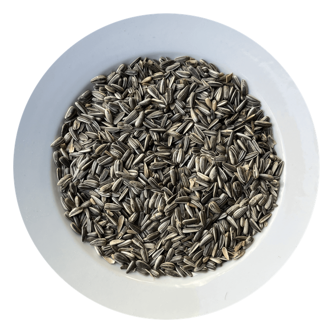 Progasta sončnična semena Avicentra (1 kg) - slika 2