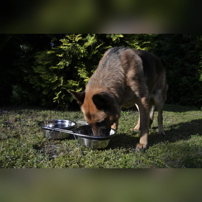 Kovinski dvojni hranilnik Dingo - slika 2