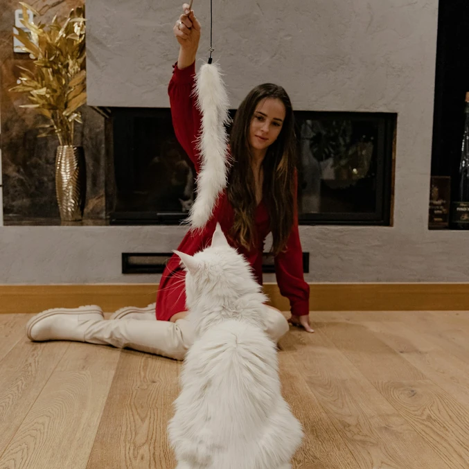 Mačja palica Glamour s perjem Dingo - slika 2