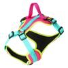 Oprsnica Active No-Pressure za pse Dingo – Brasil