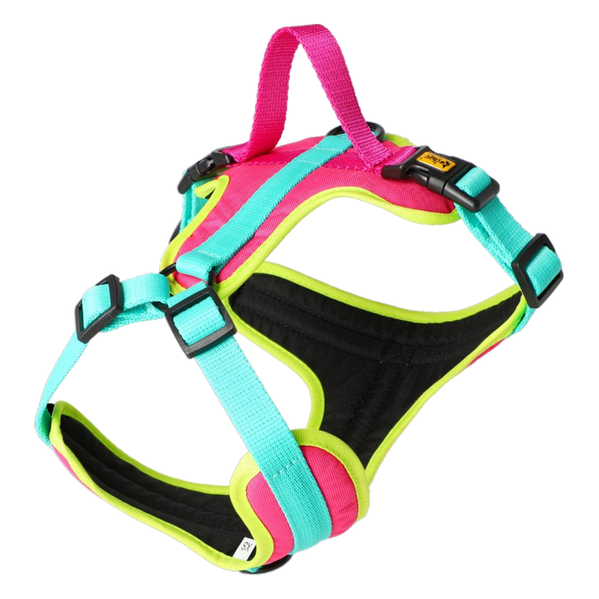 Oprsnica Active No-Pressure za pse Dingo – Brasil