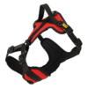Oprsnica Active No-Pressure za pse Dingo – London
