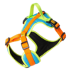 Oprsnica Active No-Pressure za pse Dingo – Sydney