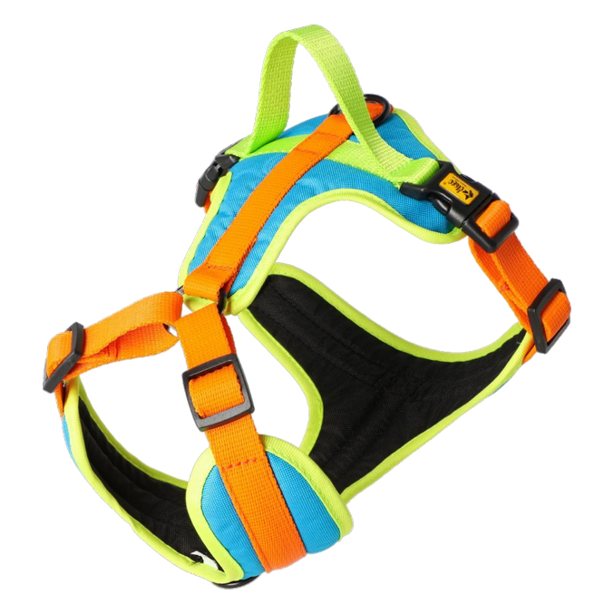 Oprsnica Active No-Pressure za pse Dingo – Sydney