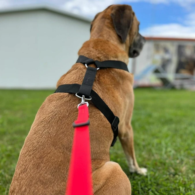 Oprsnica Guard Fred iz PP-traku Dingo – kaki - slika 4