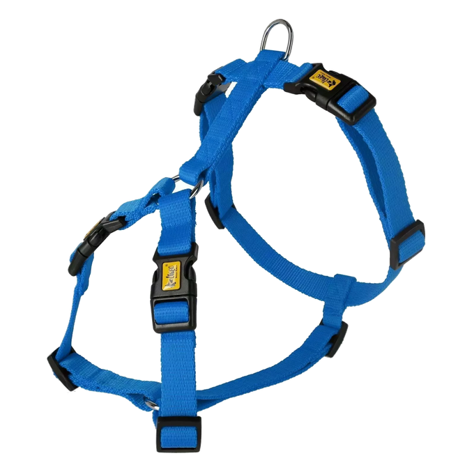 Oprsnica Guard s 4 zaponkami Dingo – modra