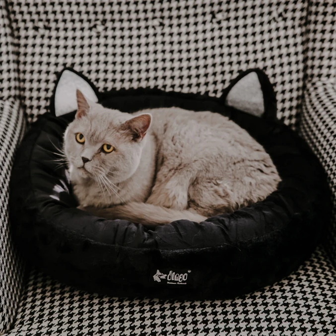 Ovalno ležišče Hugme z ušesi Dingo – črna - slika 2