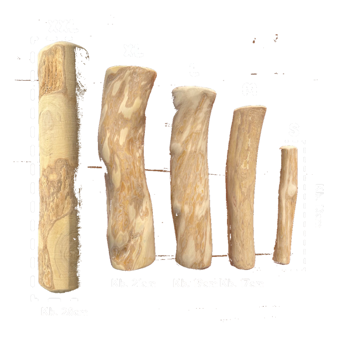 Palica iz kavovca za žvečenje Whizzopet (velikost M) - slika 2