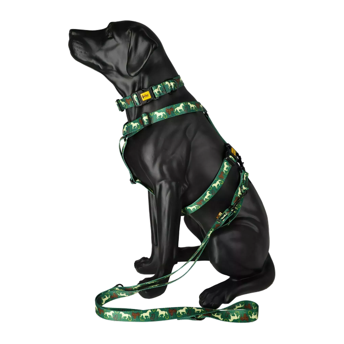 Povodec City Horse Dingo - slika 3