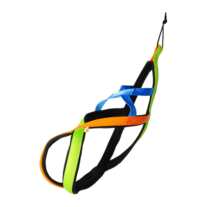Sled oprsnica Active za šport s psom Dingo – Sydney