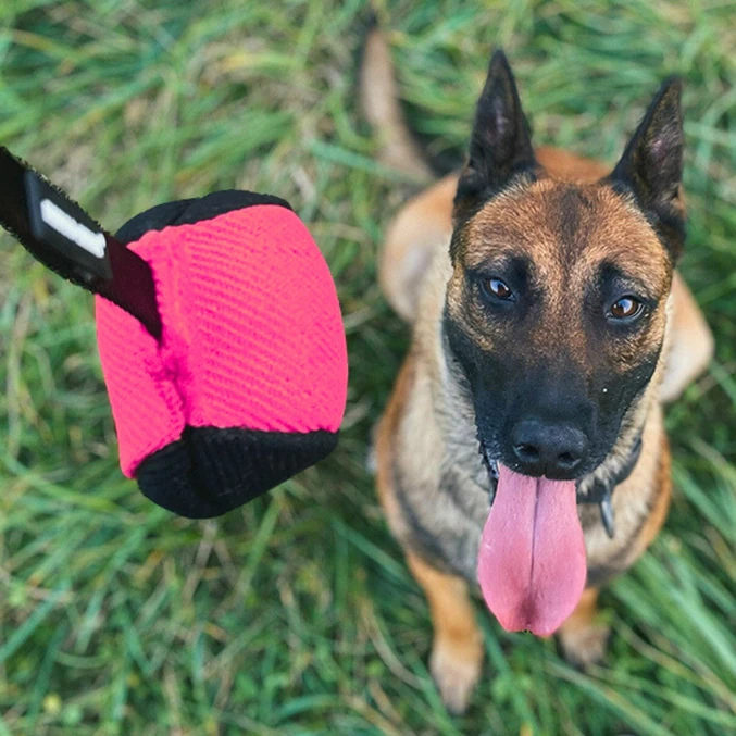 Trening žoga iz nylcota z ročajem 65 cm Dingo Gear – rožnato-črna - slika 3