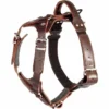 Usnjena oprsnica AMOS Cobra System Dingo Gear