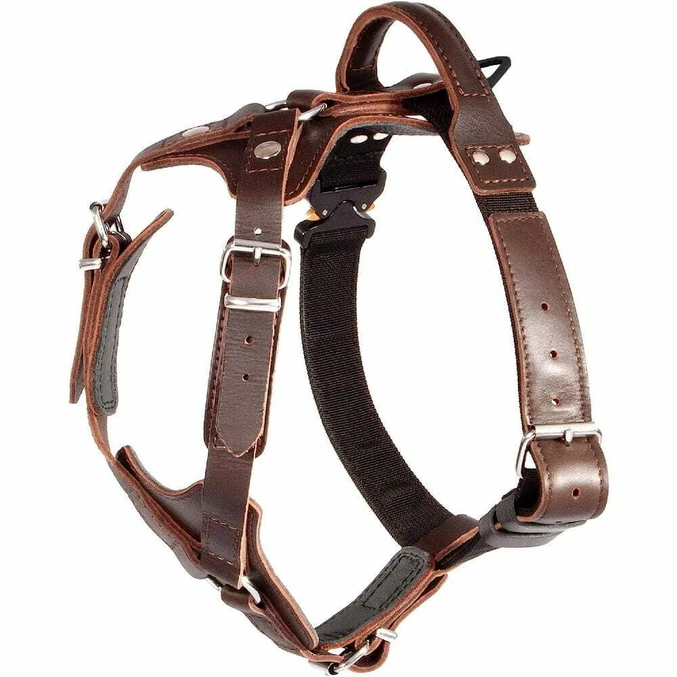 Usnjena oprsnica AMOS Cobra System Dingo Gear