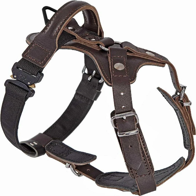 Usnjena oprsnica AMOS Cobra System Dingo Gear - slika 2