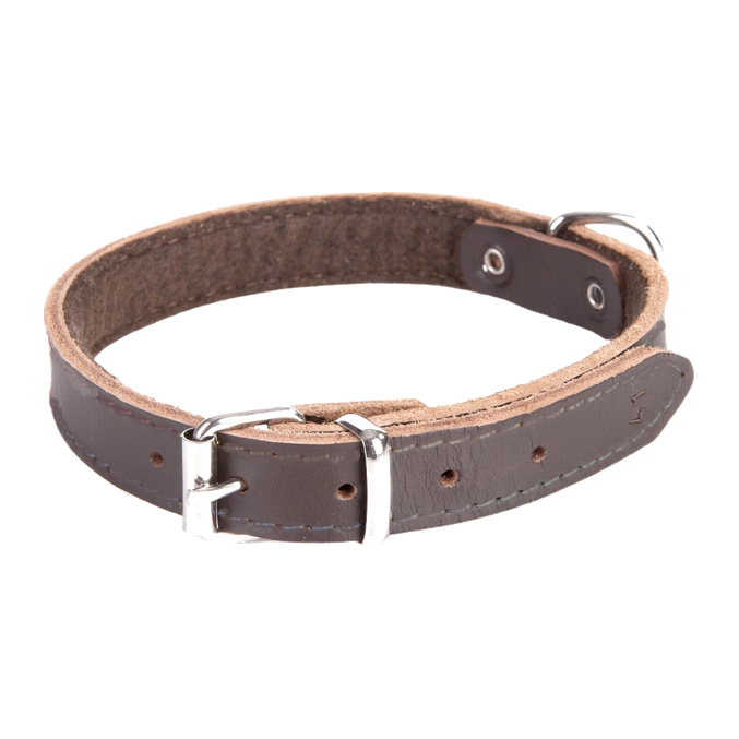 Usnjena ovratnica Classic z mehko podlogo Dingo – rjava