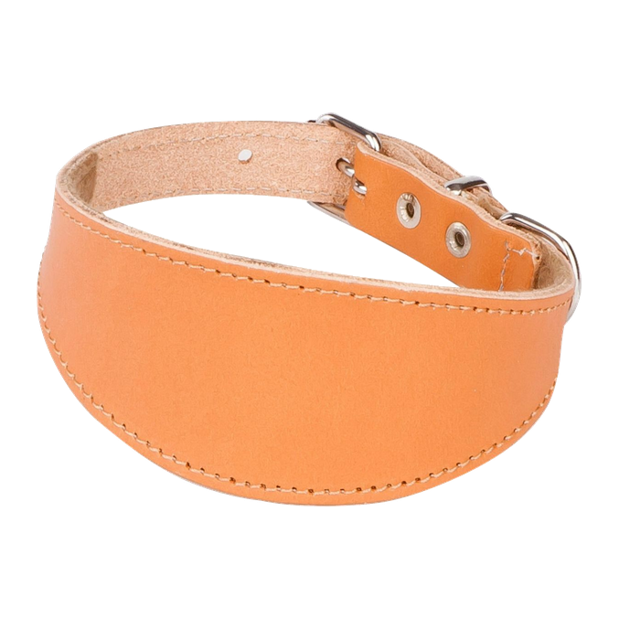 Usnjena ovratnica Classic za hrte Dingo – naravna