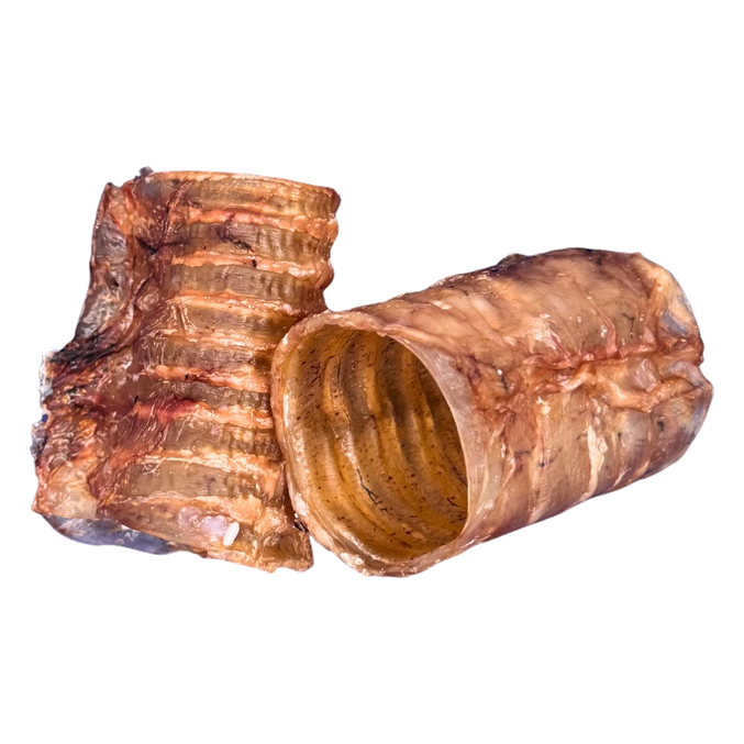 Zračno sušeni koščki govejega sapnika za pse Whizzopet (100 g) - slika 2